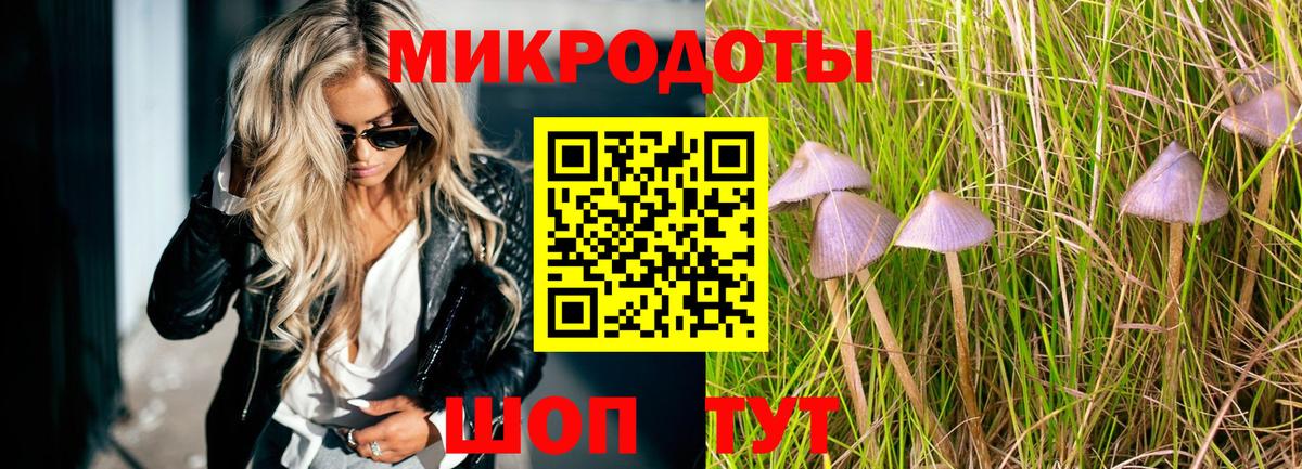 Электрогорск  Галлюциногенные грибы GOLDEN TEACHER  Вход с VPN  Псилоцибиновые грибы мухоморы 